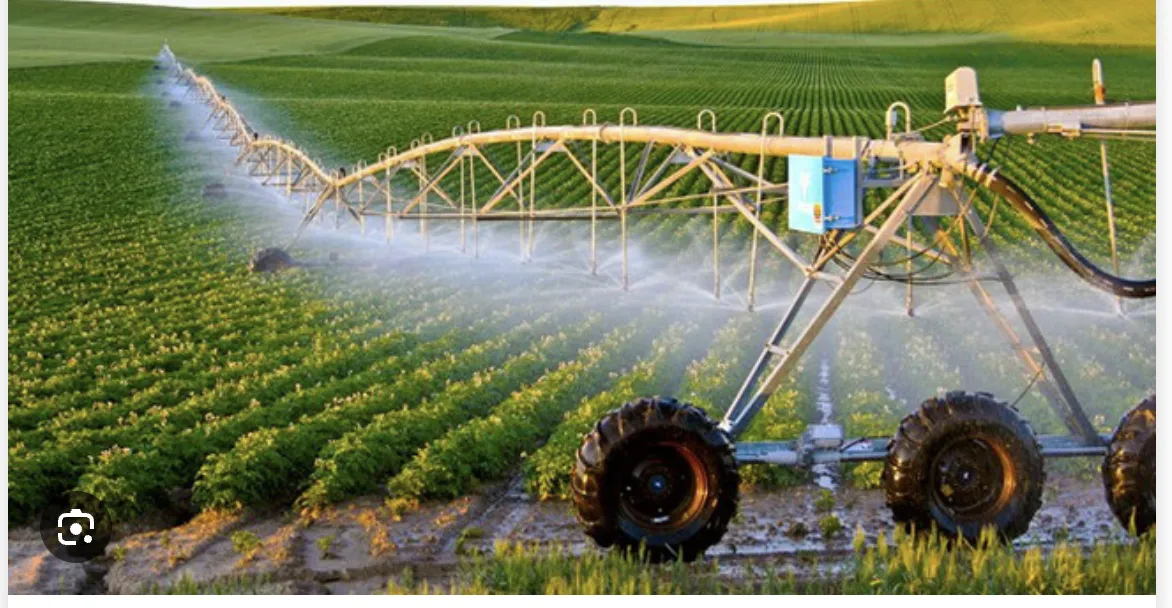 Chương trình Hợp tác Đào tạo và Thực hành Nông nghiệp tại Israel khóa 2019 – 2020