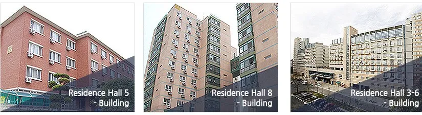 SINH VIÊN LÊ TIẾN DŨNG K61 CHƯƠNG TRÌNH TIÊN TIẾN VỚI HÀNH TRÌNH “SĂN” HỌC BỔNG TẠI HÀN QUỐC