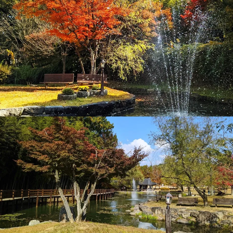 CUỘC SỐNG THƯỜNG NGÀY CỦA SINH VIÊN TRAO ĐỔI TẠI CHONNAM NATIONAL UNIVERSITY, HÀN QUỐC